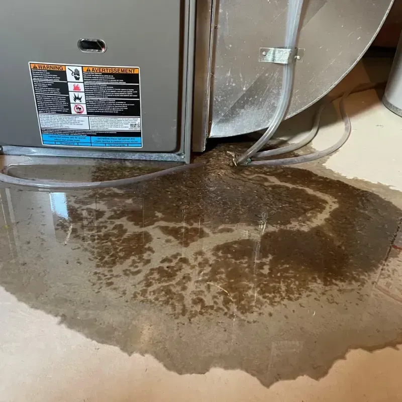 Appliance Leak Cleanup in Mar-Mac, NC